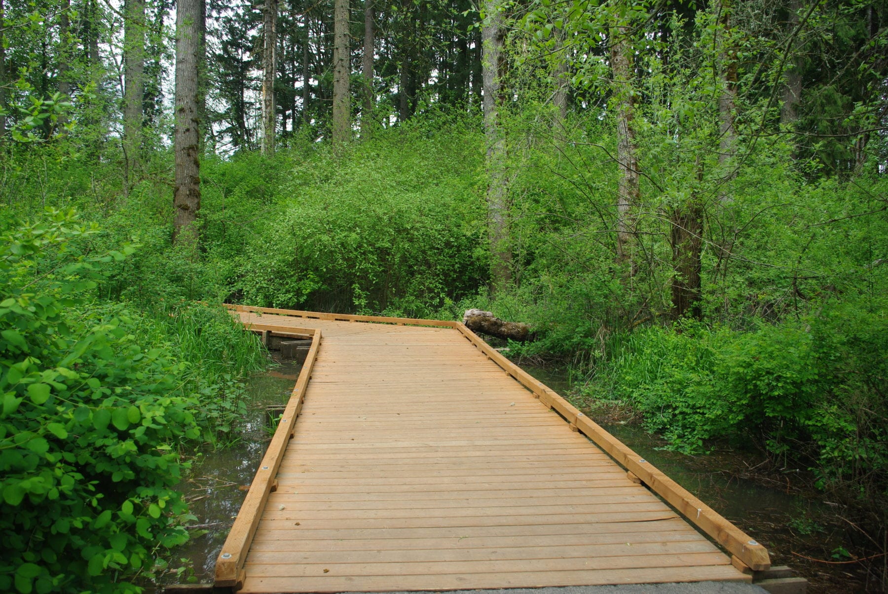 boardwalk2 Nature Trails