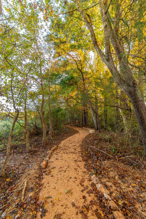 Meandering Walking Path North Carolina Trail Builder