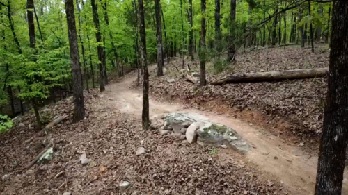 Bentonville Flow Trail