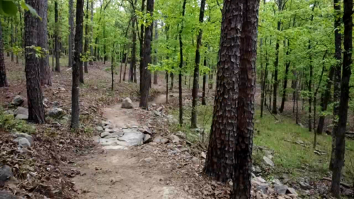 Pinnacle Mountain State Park