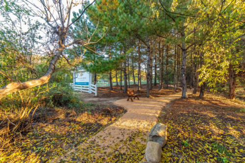 Galloway Ridge Walking Trail North Carolina Trail Builder