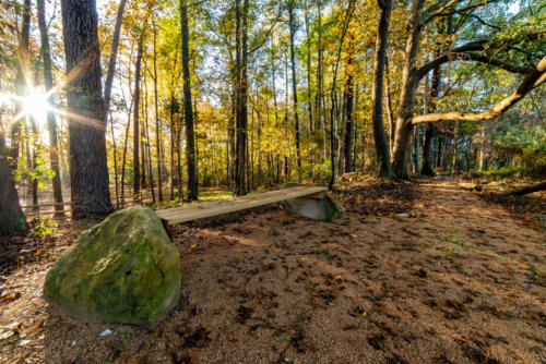 NC Trail Bench