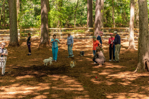 Pittsboro NC Dog Park North Carolina Trail Builder