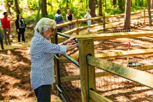 Dog Park Leash Area Entrance North Carolina Trail Builder