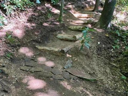 Black Locust Steps