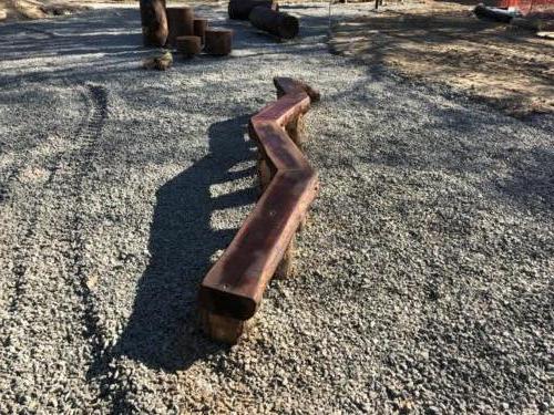 Log Balance Beam