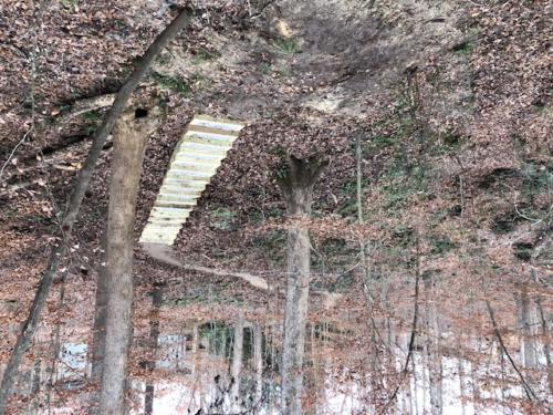 Overhead View of Trail North Carolina Trail Builder