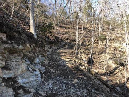 North Carolina ATV Trail