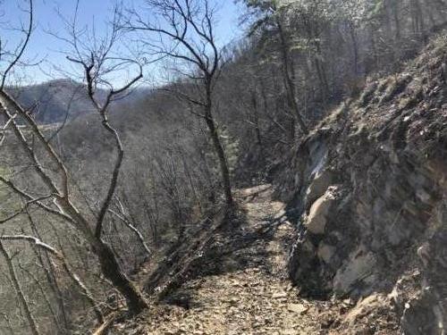 North Carolina Trail Construction