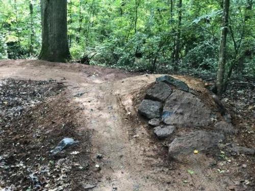 Backyard Dirt Jumps