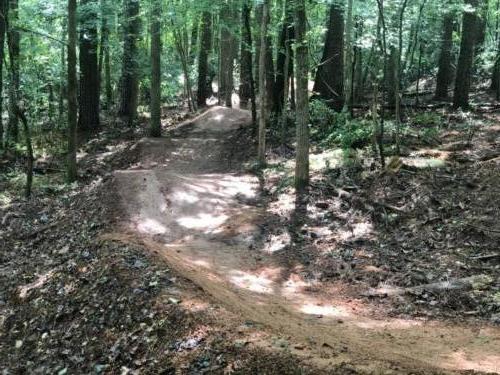 Bike Trail Construction