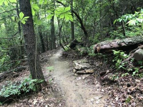 Raven Cliff Falls Trail