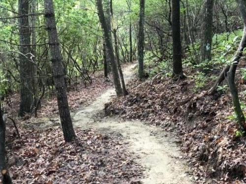 Sustainable Trail Building