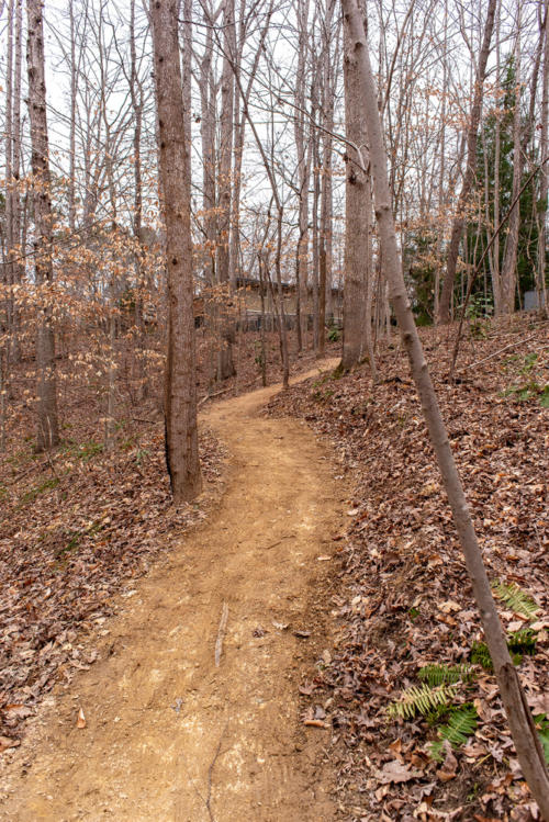 Finished Walking Trail North Carolina Trail Builder