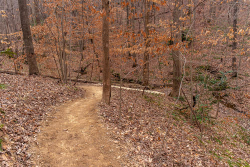 Finished Walking Trail North Carolina Trail Builder