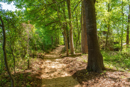 Shaded Walking Trail North Carolina Trail Builder