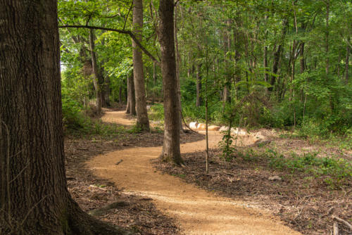 Wandering Trail