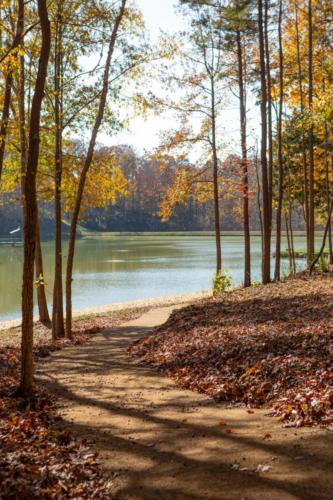 Ventosa Springs 11 (1)